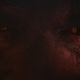 Illustration for article titled In adapting Rosemary’s Baby, Polanski traded ambiguity for dreadfully inevitable horror